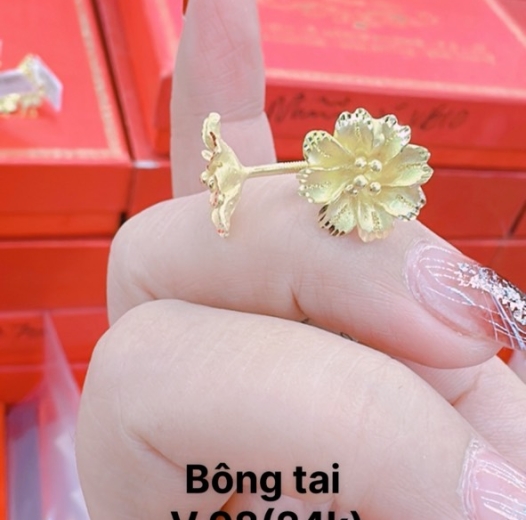Bông tai 10