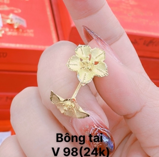 Bông tai 25